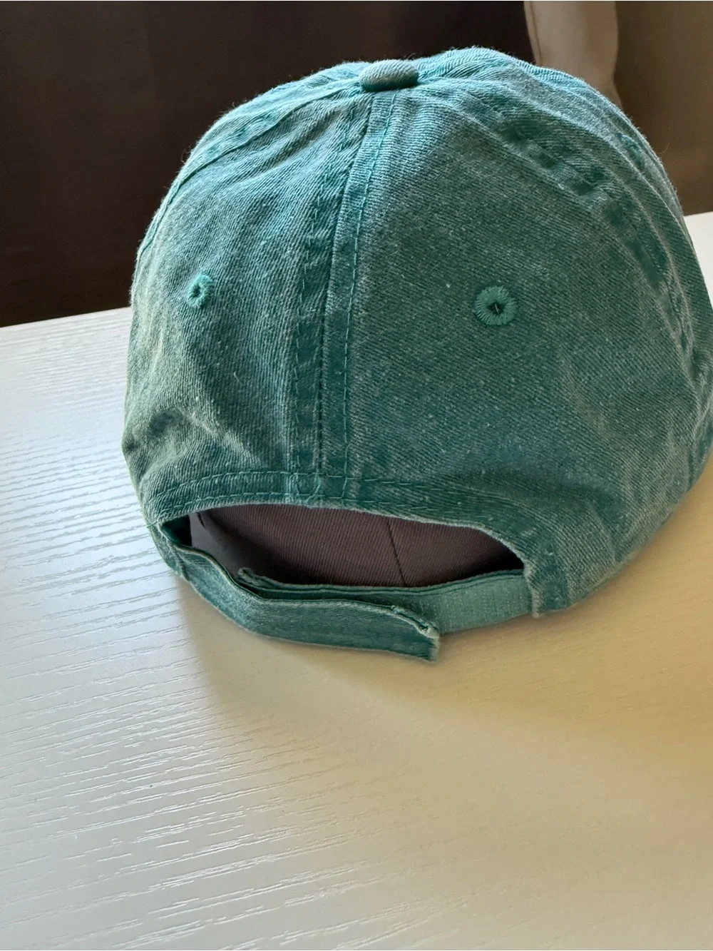 Green Blue Cat Hat Baseball Cap Adjustable Back